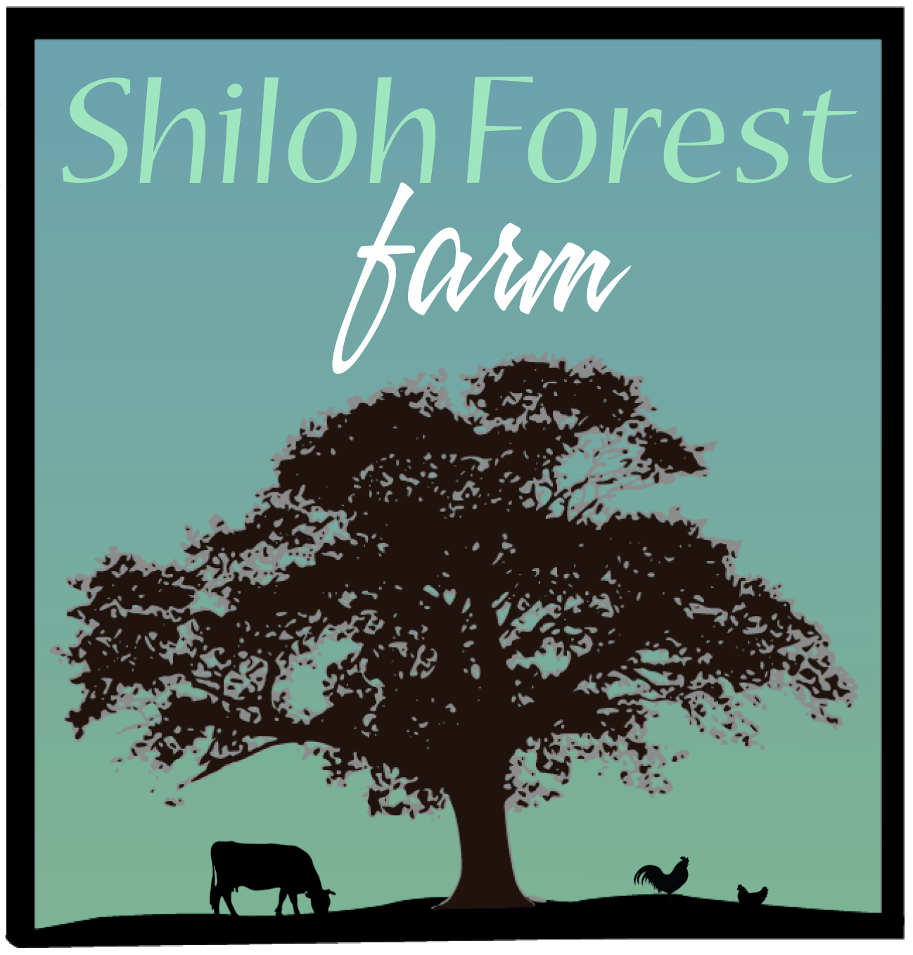 Shiloh Forest Farm